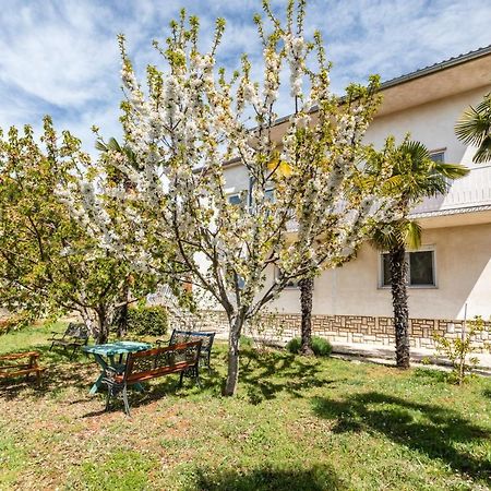 Apartments Villa Pavle Rovinj Zewnętrze zdjęcie